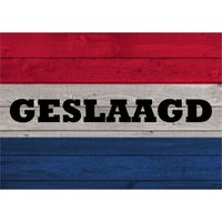 Vintage poster met geslaagd Nederlandse vlag 84 cm   -