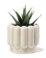 HEMA Bloempot ⌀7x6cm keramiek ribbel grijs (grijs)