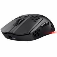 Gaming muis Trust GXT 929 4800 dpi Zwart