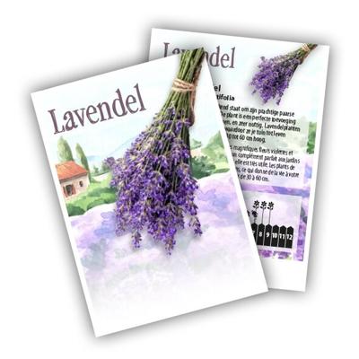 Cadeau premium Lavendel (100 zakjes)