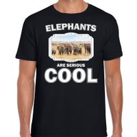 T-shirt elephants are serious cool zwart heren - kudde olifanten/ olifant shirt - thumbnail