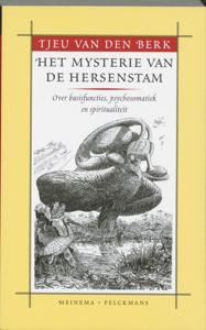 Het mysterie van de hersenstam (Paperback)