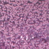 Creativ Company Glitterlijm paars, 25ml