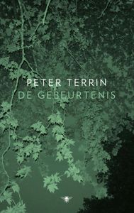 De gebeurtenis - Peter Terrin - ebook