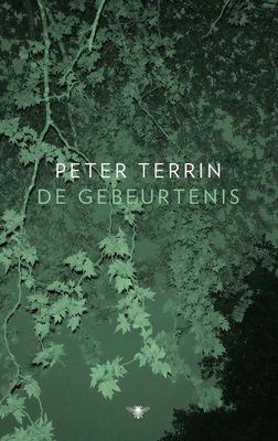 De gebeurtenis - Peter Terrin - ebook