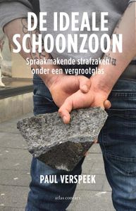 De ideale schoonzoon - Paul Verspeek - ebook