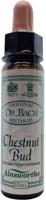 Ainsworths Chestnut bud Bach 10 Milliliter