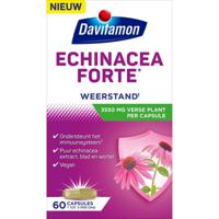 Echinacea forte - thumbnail