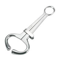 Stierengeleider harms rvs