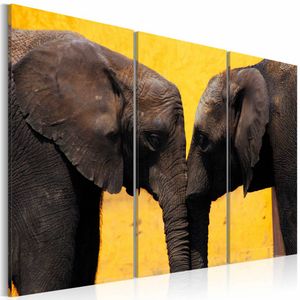 Schilderij - Kus van een Olifant, geel/bruin, wanddecoratie, 3luik , print op canvas