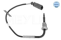 Sensor, uitlaatgastemperatuur 1148000050
