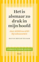 Het is alsmaar zo druk in mijn hoofd (Paperback)