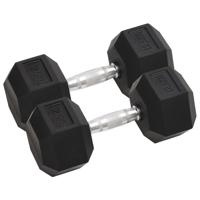 VidaXL Halters 2 st 25 kg gietijzer - thumbnail