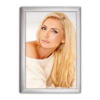 Zep 120s20-8r silver frame 20x25 cm