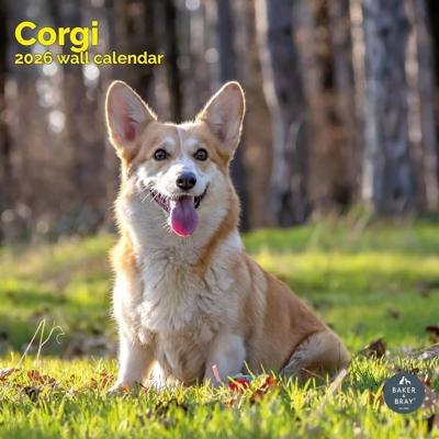 Welsh Corgi Kalender 2026