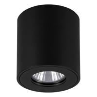 Eglo OpbouwspotTorrecola rond Ø8cm - 901028