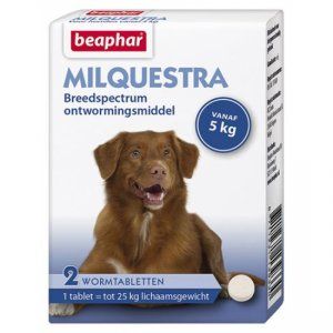Beaphar Milquestra ontworming hond L 5-50kg 2-tabletten