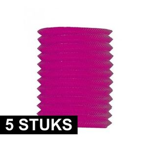 5x Treklampion roze 20 cm hoog   -