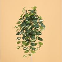 Dracaena Surculosa Milky way Kunst Hanger 75cm