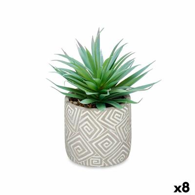 Decoratieve plant Vetplant Hout Plastic 17 x 21 x 17 cm (8 Stuks)