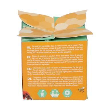 Grow gifts kweekset flower gift insect flower mix - Buzzy