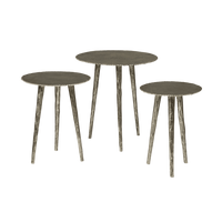 RENEW Bijzettafel 'Liam' Set van 3 stuks, kleur Zilver