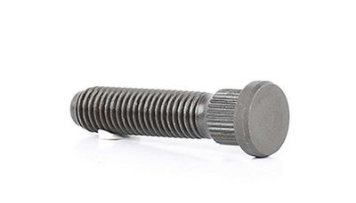 Wielbout BSG30230017