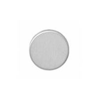 Intersteel Afdekrozet blind verdekt 53x9mm - RVS Intersteel Afdekrozet blind verdekt 53x9mm - RVS