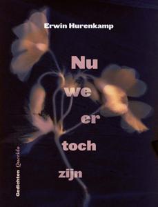 Nu we er toch zijn (Paperback)