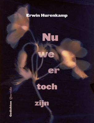Nu we er toch zijn (Paperback)