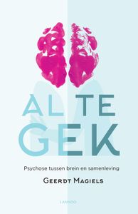 Al te gek - Geerdt Magiels - ebook