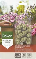 Pokon Terras & Balkon Planten Voedingskegels 10 stuks