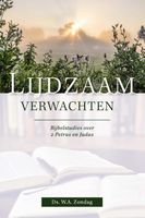 Lijdzaam verwachten - W.A. Zondag - ebook - thumbnail