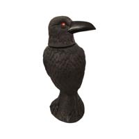 Halloween Decoraties Raaf