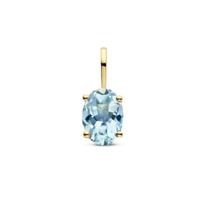 14k Gouden Hanger Geboortesteen Aquamarijn Maart 12,5mm
