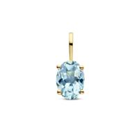 14k Gouden Hanger Geboortesteen Aquamarijn Maart 12,5mm
