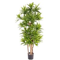 Kunstplant Groene Dracaena reflexa - H120 cm - voor binnen - nepplant - binnenplant