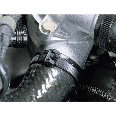 HellermannTyton 131-12520 RT250-PA12-BK Kabelbinder Zwart UV-bestendig 100 stuk(s)