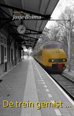 De trein gemist ... (Paperback)