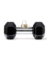 HEMA Kersthanger 10.2cm Glas Dumbbell