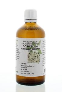 Boswellia serrata / boswellia tinctuur