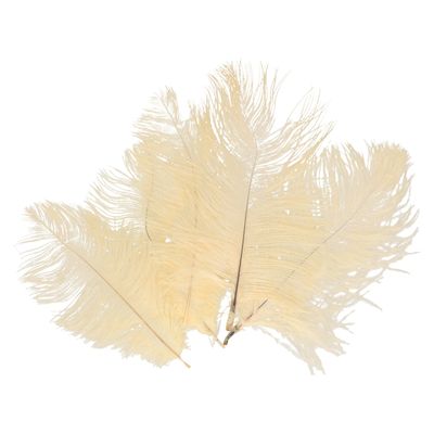 Struisvogelveren/sierveren - 5x - crème wit - 20-25 cm - decoratie/hobbymateriaal