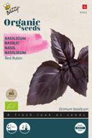 Organic Basilicum Red Rubin (BIO) - Buzzy