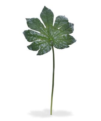 Fatsia kunstblad XL 81 cm
