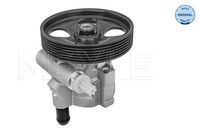Servo pomp 16166310005