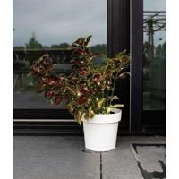 Waterreservepot - GARDEN ID Glamour - Wit 40 cm - Korrelig oppervlak - Binnen/buiten - Strak design.