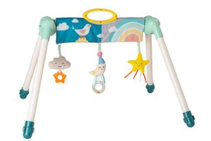 Mini moon take-to-play baby gym