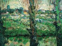 Kunstdruk Vincent Van Gogh - Blick auf Arles 80x60cm