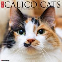 Calico Katten Kalender 2026