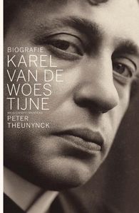 Karel Van de Woestijne - Peter Theunynck - ebook